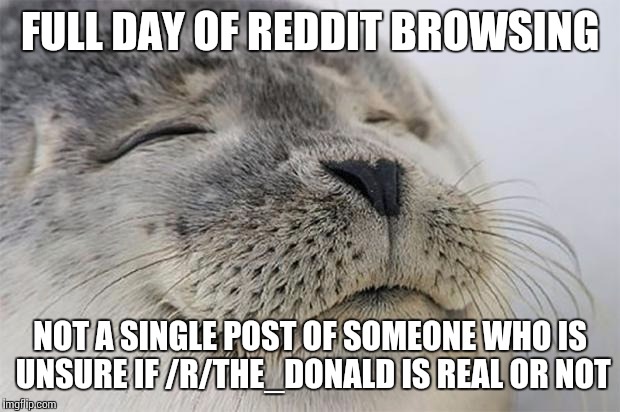 Satisfied Seal Meme | FULL DAY OF REDDIT BROWSING; NOT A SINGLE POST OF SOMEONE WHO IS UNSURE IF /R/THE_DONALD IS REAL OR NOT | image tagged in memes,satisfied seal,AdviceAnimals | made w/ Imgflip meme maker