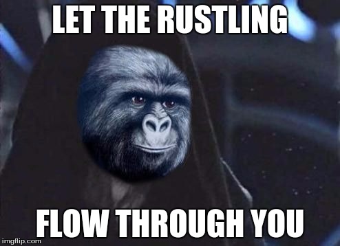 Emperor Rustling | LET THE RUSTLING; FLOW THROUGH YOU | image tagged in emperor rustling,rustle my jimmies,memes | made w/ Imgflip meme maker