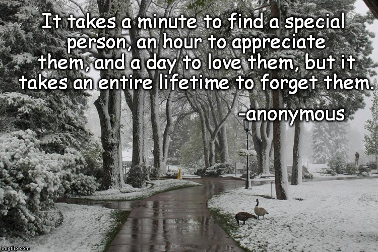 Snow Memorium | It takes a minute to find a special person, an hour to appreciate them, and a day to love them, but it takes an entire lifetime to forget them. -anonymous | image tagged in loss | made w/ Imgflip meme maker