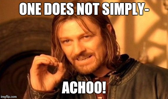 One Does Not Simply Meme | ONE DOES NOT SIMPLY- ACHOO! | image tagged in memes,one does not simply | made w/ Imgflip meme maker