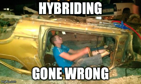 HYBRIDING GONE WRONG | image tagged in drunk2 | made w/ Imgflip meme maker