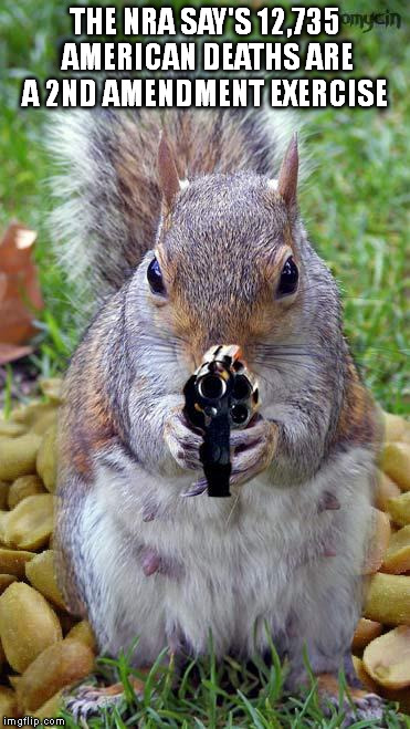 funny squirrels with guns (5) | THE NRA SAY'S 12,735 AMERICAN DEATHS ARE A 2ND AMENDMENT EXERCISE | image tagged in funny squirrels with guns 5 | made w/ Imgflip meme maker