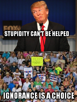 STUPIDITY CAN'T BE HELPED; IGNORANCE IS A CHOICE | image tagged in trump 2016 | made w/ Imgflip meme maker