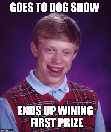 Bad luck Brian visits dog show  | GOES TO DOG SHOW; ENDS UP WINING FIRST PRIZE | image tagged in memes,bad luck brian | made w/ Imgflip meme maker