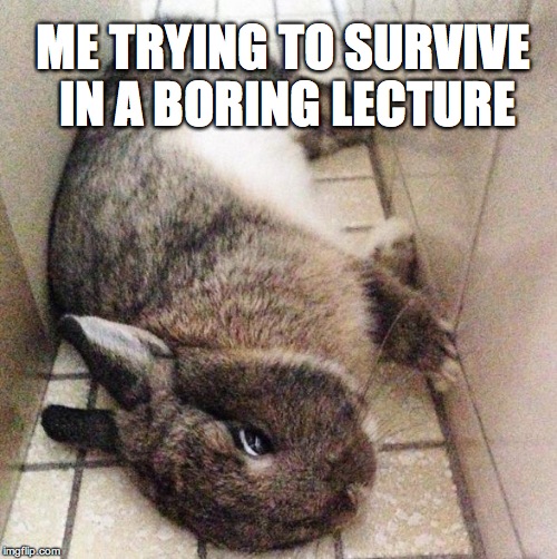 ME TRYING TO SURVIVE IN A BORING LECTURE | image tagged in bambymeme | made w/ Imgflip meme maker