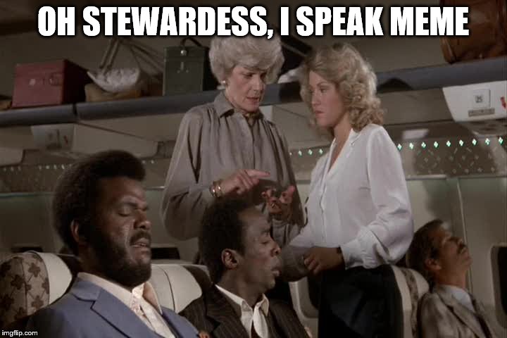 Surely she can't be serious? | OH STEWARDESS, I SPEAK MEME | image tagged in memes,airplane | made w/ Imgflip meme maker