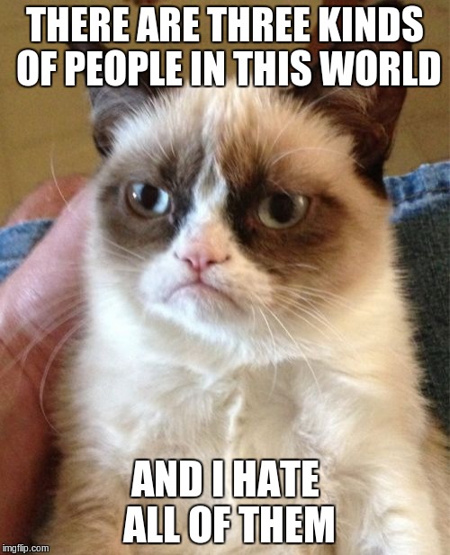 This is a re-post. Let the down-votes begin! | THERE ARE THREE KINDS OF PEOPLE IN THIS WORLD; AND I HATE ALL OF THEM | image tagged in memes,grumpy cat | made w/ Imgflip meme maker