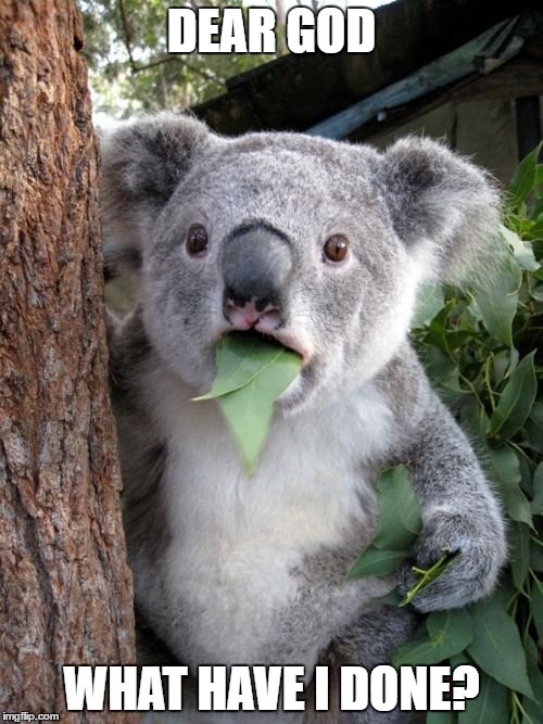 Surprised Koala Meme | DEAR GOD; WHAT HAVE I DONE? | image tagged in memes,surprised koala | made w/ Imgflip meme maker