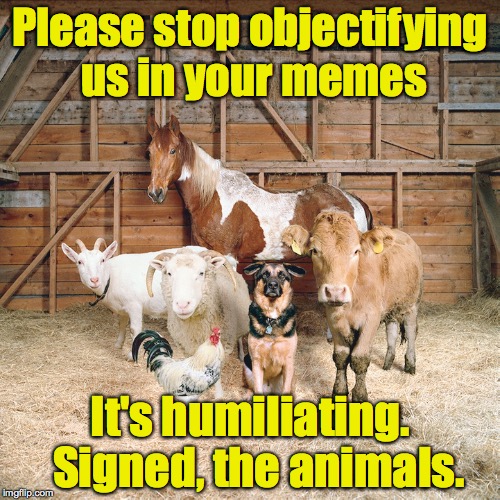 After all, animals are people too... | Please stop objectifying us in your memes; It's humiliating.  Signed, the animals. | image tagged in animals,memes | made w/ Imgflip meme maker