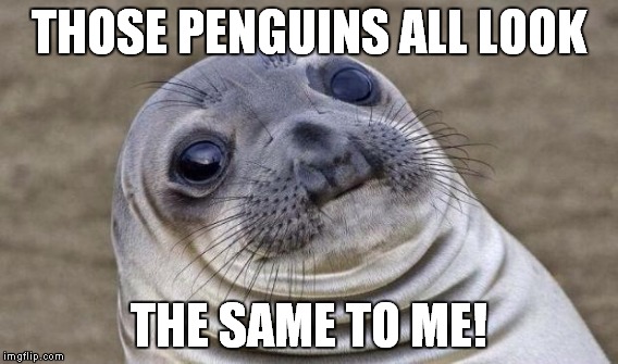 THOSE PENGUINS ALL LOOK THE SAME TO ME! | made w/ Imgflip meme maker