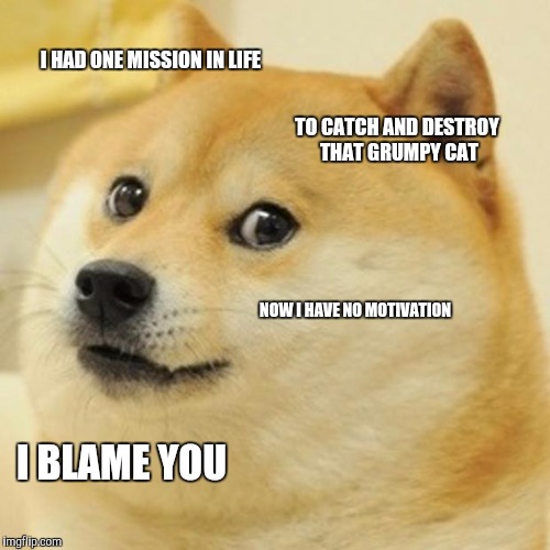 Doge Meme | I HAD ONE MISSION IN LIFE TO CATCH AND DESTROY THAT GRUMPY CAT NOW I HAVE NO MOTIVATION I BLAME YOU | image tagged in memes,doge | made w/ Imgflip meme maker