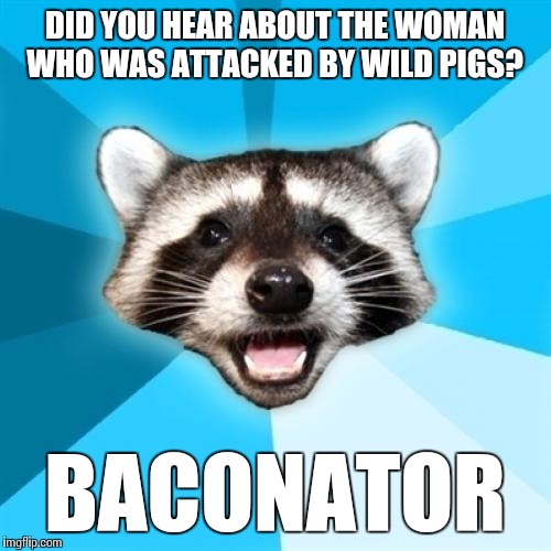 Lame Pun Coon | DID YOU HEAR ABOUT THE WOMAN WHO WAS ATTACKED BY WILD PIGS? BACONATOR | image tagged in memes,lame pun coon | made w/ Imgflip meme maker