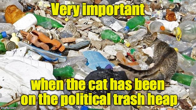 Very important when the cat has been on the political trash heap | made w/ Imgflip meme maker