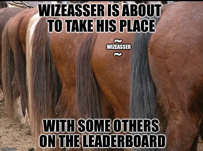 ~; WIZEASSER IS ABOUT TO TAKE HIS PLACE; WIZEASSER; ~; WITH SOME OTHERS ON THE LEADERBOARD | image tagged in joining the ranks | made w/ Imgflip meme maker