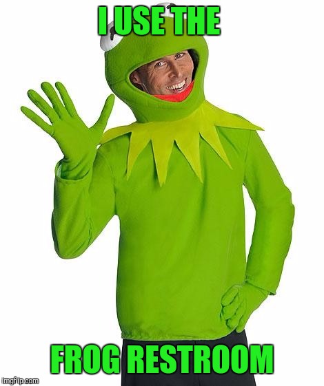 I feel like a frog | I USE THE; FROG RESTROOM | image tagged in kermit the frog | made w/ Imgflip meme maker