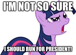 twilight confused | I'M NOT SO SURE I SHOULD RUN FOR PRESIDENT! | image tagged in twilight confused | made w/ Imgflip meme maker