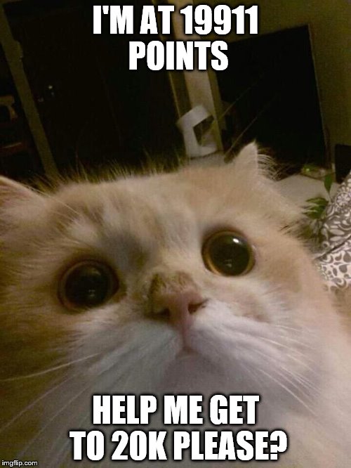 Mmmcats | I'M AT 19911 POINTS; HELP ME GET TO 20K PLEASE? | image tagged in mmmcats | made w/ Imgflip meme maker