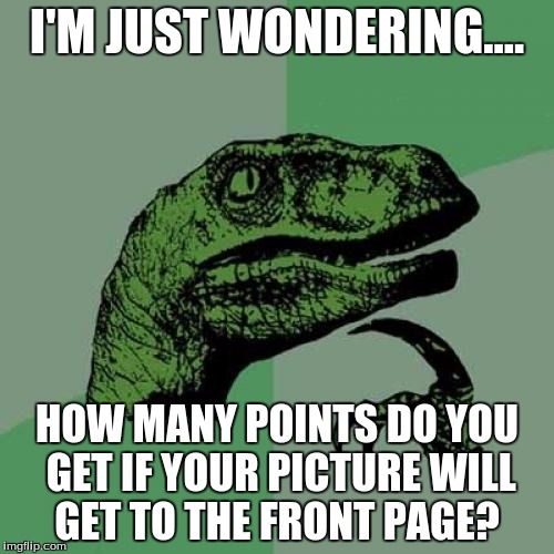 Philosoraptor | I'M JUST WONDERING.... HOW MANY POINTS DO YOU GET IF YOUR PICTURE WILL GET TO THE FRONT PAGE? | image tagged in memes,philosoraptor | made w/ Imgflip meme maker