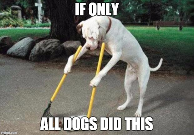 Dog poop | IF ONLY; ALL DOGS DID THIS | image tagged in dog poop | made w/ Imgflip meme maker