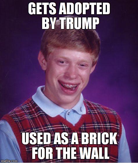 Bad Luck Brian | GETS ADOPTED BY TRUMP; USED AS A BRICK FOR THE WALL | image tagged in memes,bad luck brian | made w/ Imgflip meme maker