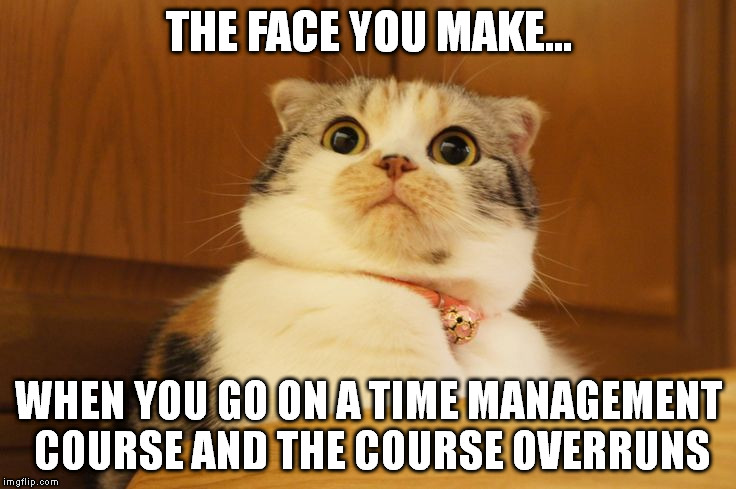 THE FACE YOU MAKE... WHEN YOU GO ON A TIME MANAGEMENT COURSE AND THE COURSE OVERRUNS | image tagged in memes,work,hypocrisy | made w/ Imgflip meme maker