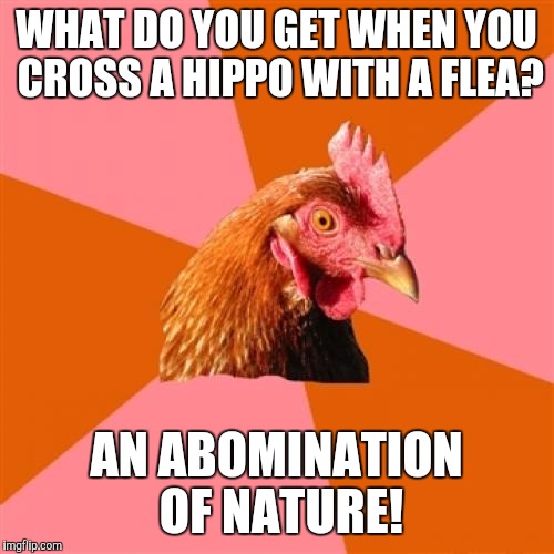 Anti Joke Chicken Meme | WHAT DO YOU GET WHEN YOU CROSS A HIPPO WITH A FLEA? AN ABOMINATION OF NATURE! | image tagged in memes,anti joke chicken | made w/ Imgflip meme maker