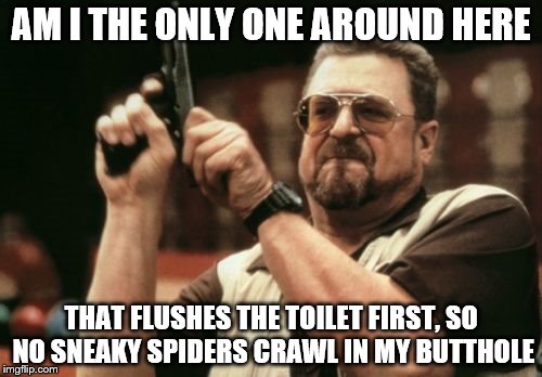 Am I The Only One Around Here Meme | AM I THE ONLY ONE AROUND HERE; THAT FLUSHES THE TOILET FIRST, SO NO SNEAKY SPIDERS CRAWL IN MY BUTTHOLE | image tagged in memes,am i the only one around here | made w/ Imgflip meme maker