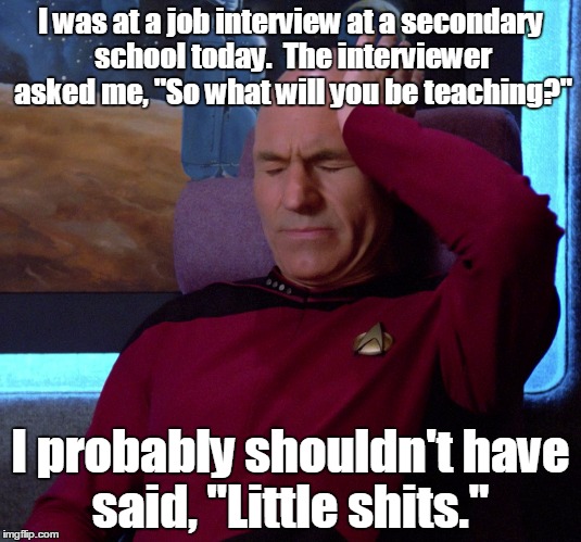 picardy | I was at a job interview at a secondary school today.

The interviewer asked me, "So what will you be teaching?"; I probably shouldn't have said, "Little shits." | image tagged in school,shits | made w/ Imgflip meme maker