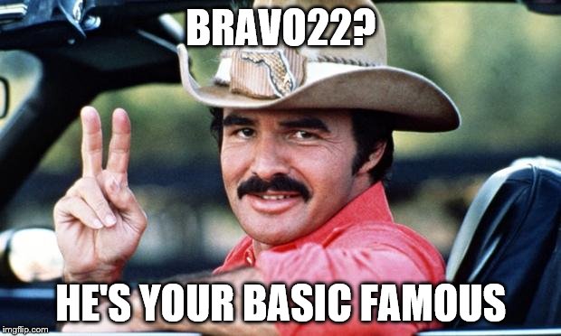 burt | BRAVO22? HE'S YOUR BASIC FAMOUS | image tagged in burt | made w/ Imgflip meme maker