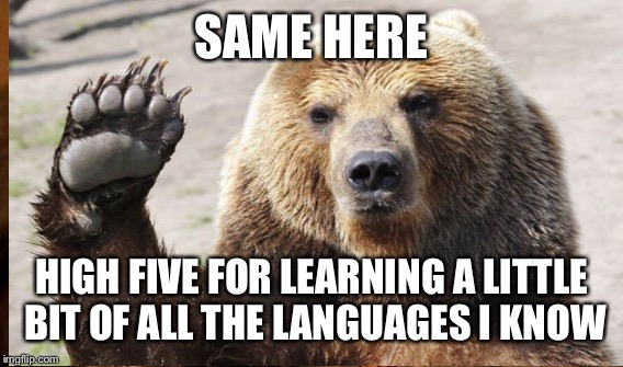 SAME HERE HIGH FIVE FOR LEARNING A LITTLE BIT OF ALL THE LANGUAGES I KNOW | made w/ Imgflip meme maker