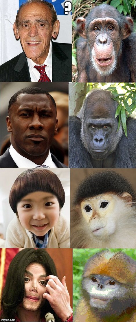 Who will this offend?  Whites, Blacks, Asians, Pro-Creationists  | ? | image tagged in who will this offend? whites blacks asians pro-creationists  | made w/ Imgflip meme maker