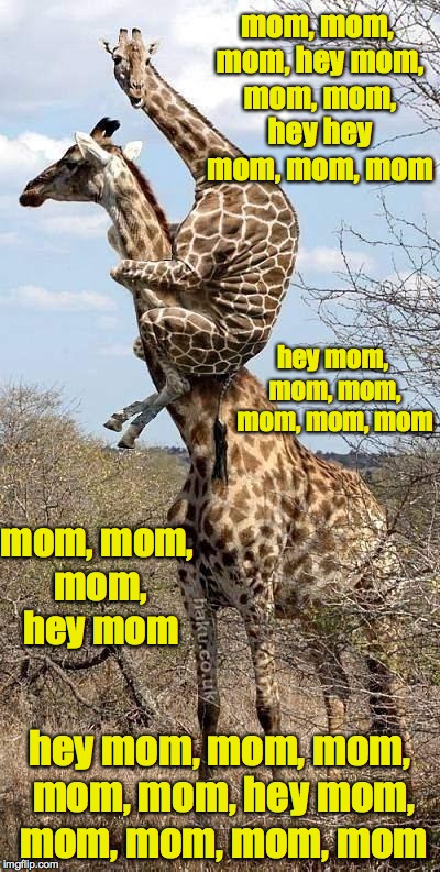 WHAT!!!!!!! | mom, mom, mom, hey mom, mom, mom, hey hey mom, mom, mom; hey mom, mom, mom, mom, mom, mom; mom, mom, mom, hey mom; hey mom, mom, mom, mom, mom, hey mom, mom, mom, mom, mom | image tagged in funny giraffe,mom | made w/ Imgflip meme maker