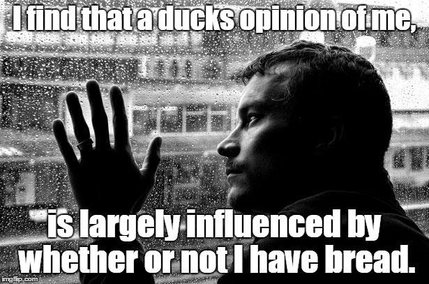 Over Educated Problems | I find that a ducks opinion of me, is largely influenced by whether or not I have bread. | image tagged in memes,over educated problems | made w/ Imgflip meme maker