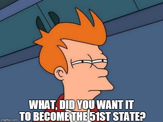 Futurama Fry Meme | WHAT, DID YOU WANT IT TO BECOME THE 51ST STATE? | image tagged in memes,futurama fry | made w/ Imgflip meme maker