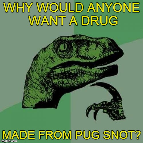 Philosoraptor Meme | WHY WOULD ANYONE WANT A DRUG MADE FROM PUG SNOT? | image tagged in memes,philosoraptor | made w/ Imgflip meme maker