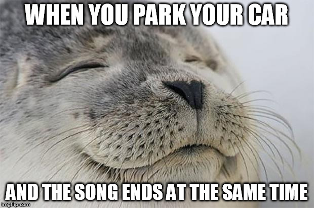 Satisfied Seal Meme | WHEN YOU PARK YOUR CAR; AND THE SONG ENDS AT THE SAME TIME | image tagged in memes,satisfied seal,AdviceAnimals | made w/ Imgflip meme maker