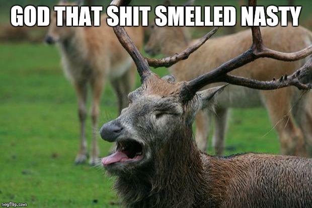 Disgusted Deer | GOD THAT SHIT SMELLED NASTY | image tagged in disgusted deer | made w/ Imgflip meme maker