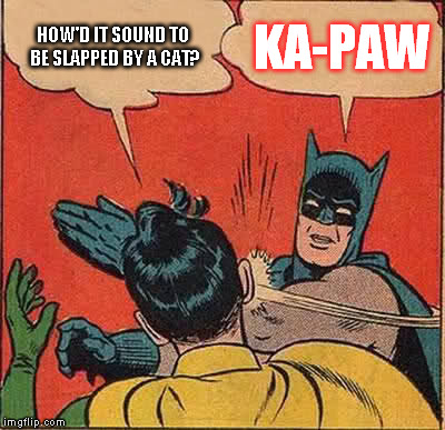 Batman Slapping Robin | HOW'D IT SOUND TO BE SLAPPED BY A CAT? KA-PAW | image tagged in memes,batman slapping robin | made w/ Imgflip meme maker
