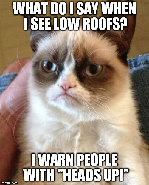 Grumpy Cat | WHAT DO I SAY WHEN I SEE LOW ROOFS? I WARN PEOPLE WITH "HEADS UP!" | image tagged in memes,grumpy cat | made w/ Imgflip meme maker