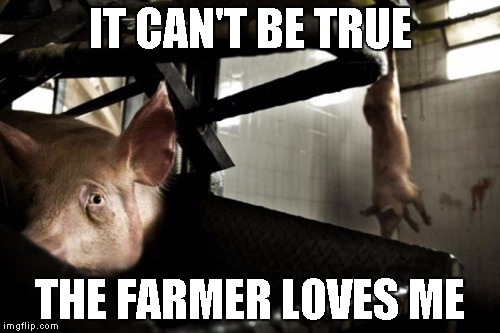 IT CAN'T BE TRUE; THE FARMER LOVES ME | made w/ Imgflip meme maker