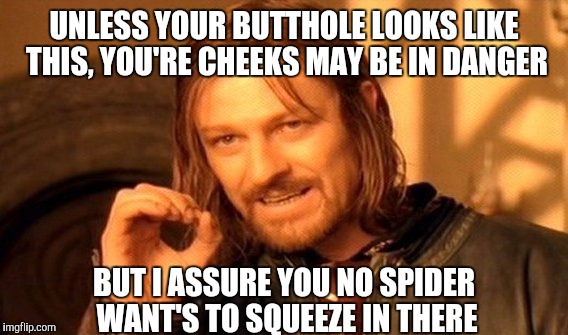 One Does Not Simply Meme | UNLESS YOUR BUTTHOLE LOOKS LIKE THIS, YOU'RE CHEEKS MAY BE IN DANGER BUT I ASSURE YOU NO SPIDER WANT'S TO SQUEEZE IN THERE | image tagged in memes,one does not simply | made w/ Imgflip meme maker