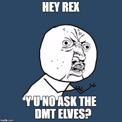 Y U No Meme | HEY REX Y U NO ASK THE  DMT ELVES? | image tagged in memes,y u no | made w/ Imgflip meme maker