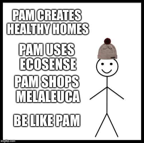 Be Like Bill | PAM CREATES HEALTHY HOMES; PAM USES ECOSENSE; PAM SHOPS MELALEUCA; BE LIKE PAM | image tagged in memes,be like bill | made w/ Imgflip meme maker
