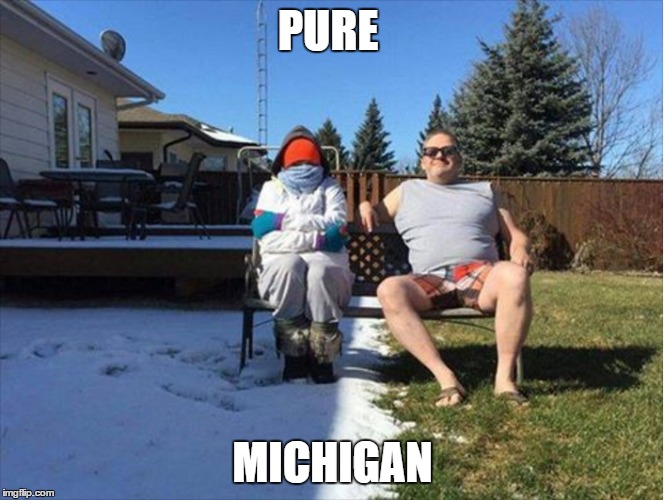 only in michigan | PURE; MICHIGAN | image tagged in michigan | made w/ Imgflip meme maker