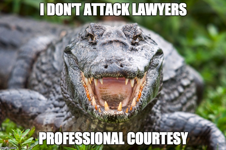 Professional Courtesy | I DON'T ATTACK LAWYERS; PROFESSIONAL COURTESY | image tagged in alligators | made w/ Imgflip meme maker