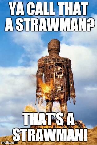 strawman argument | YA CALL THAT A STRAWMAN? THAT'S A STRAWMAN! | image tagged in strawman argument | made w/ Imgflip meme maker