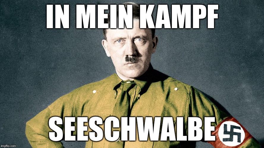 Grammar Nazi | IN MEIN KAMPF SEESCHWALBE | image tagged in grammar nazi | made w/ Imgflip meme maker