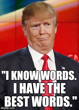 "I KNOW WORDS. I HAVE THE BEST WORDS." | image tagged in donald trump,stupid | made w/ Imgflip meme maker