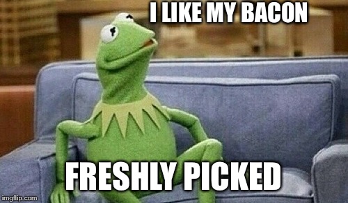 Kermit on Couch | I LIKE MY BACON FRESHLY PICKED | image tagged in kermit on couch | made w/ Imgflip meme maker