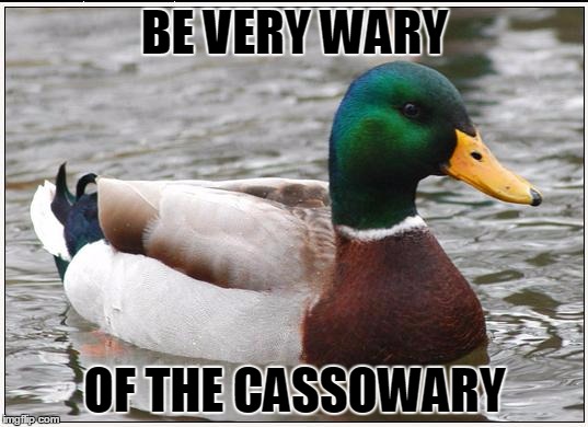 BE VERY WARY OF THE CASSOWARY | made w/ Imgflip meme maker